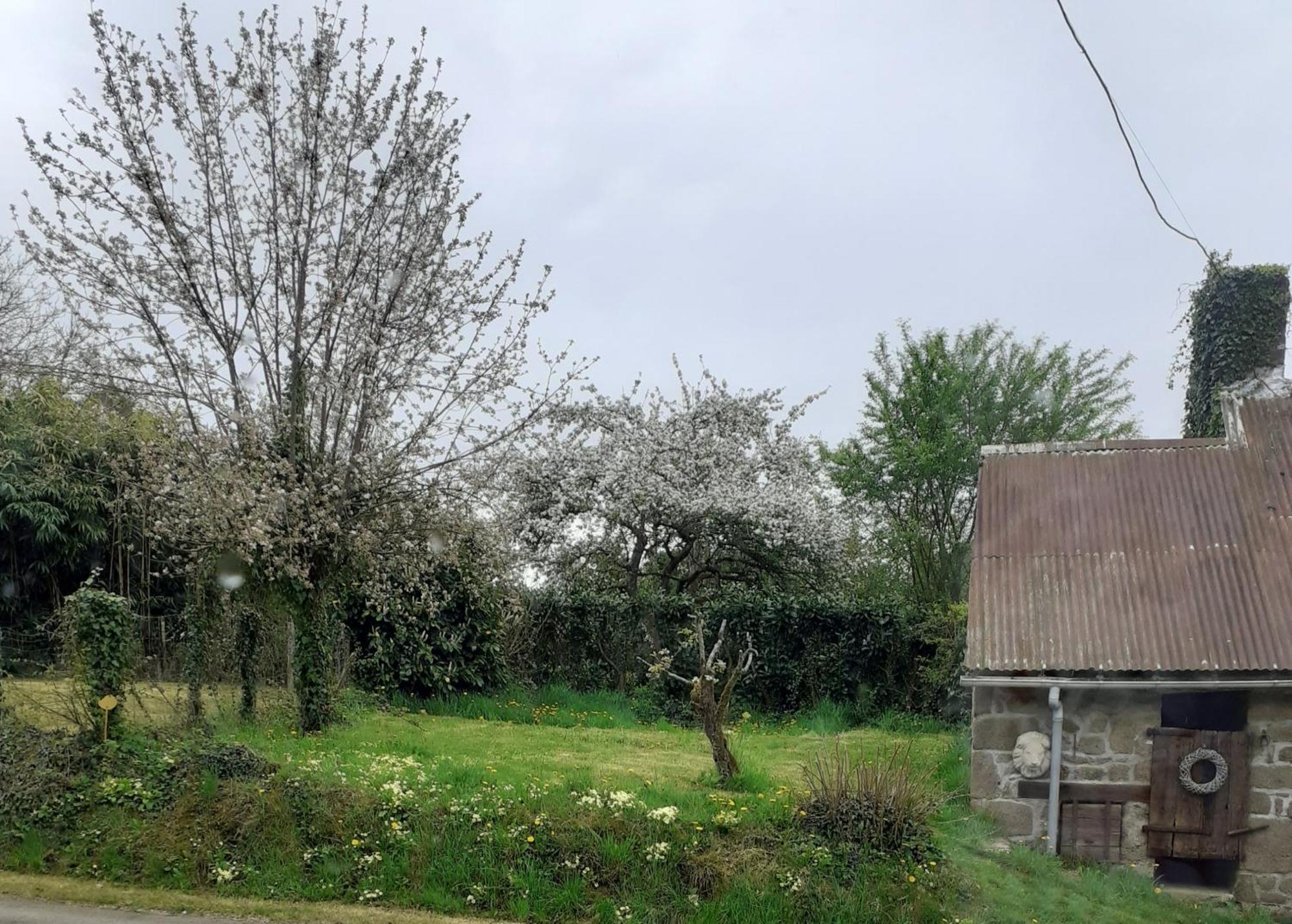 Wildberry Cottage Orgeres-la-Roche Экстерьер фото